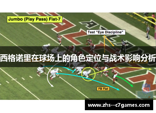 西格诺里在球场上的角色定位与战术影响分析 西格诺里在球场上的角色定位与战术影响分析